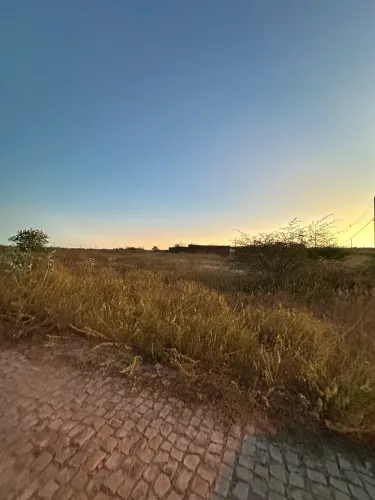Terreno 250m² em Excelente Localização - Bairro Aroeiras do Matador