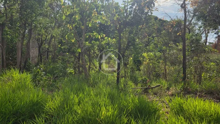 TERRENO - SEM ASFALTO - VIVENDAS DO PARQUE