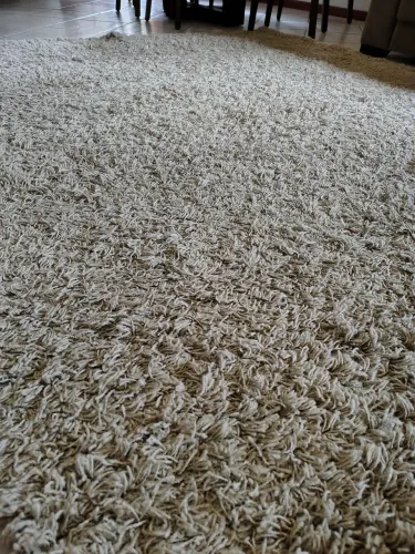 Lindo tapete para sala de estar!