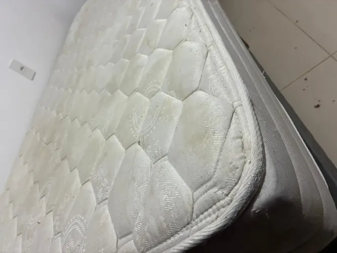 Cama box