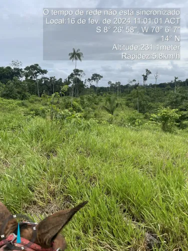 Fazenda 190 hectares na região de Feijo ,Acre !