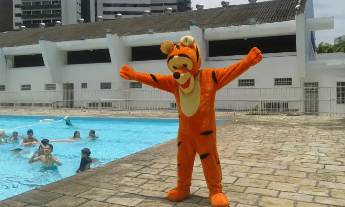 FANTASIA DO TIGRÃO INFANTIL | VENDE-SE
