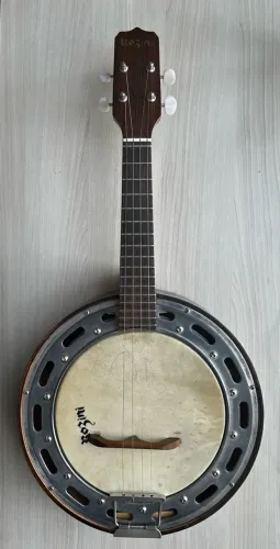 Banjo Rozini semiacústico usado
