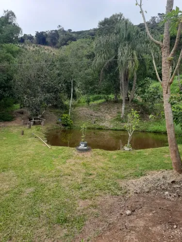 ? SÍTIO À VENDA EM JACUTINGA/MG | 3,5 ALQUEIRES | 7.000 PÉS DE CAFÉ | 3 NASCENTES | 3 LAG