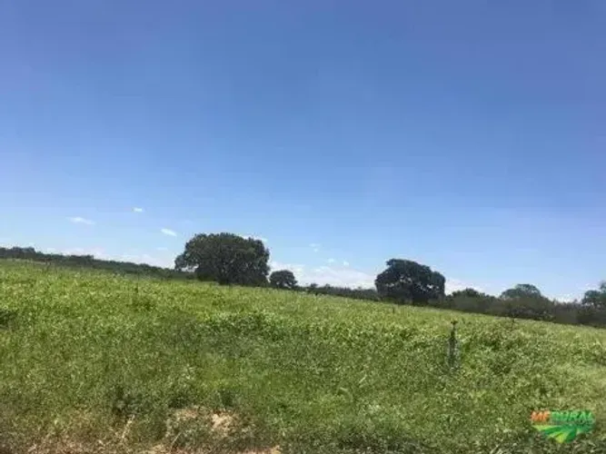 Matrícula de Área Rural com 1960 hectares, no município de Xique-Xique para regularização