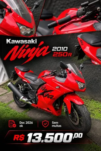 Kawasaki Ninja 250r 2010