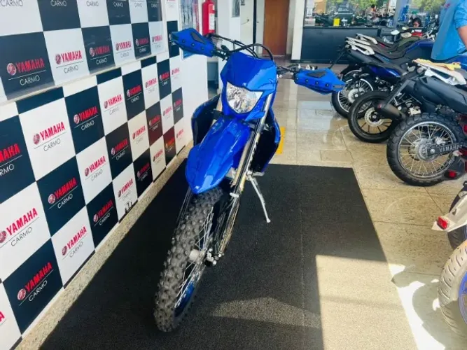 WR 450F 21/22