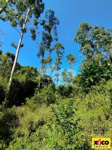 SÍTIO / CHÁCARA PARA VENDA EM PICADA CAFÉ / RS NO BAIRRO JOANETA