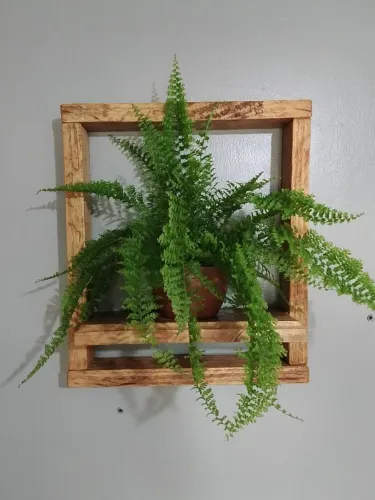 Suporte para plantas 