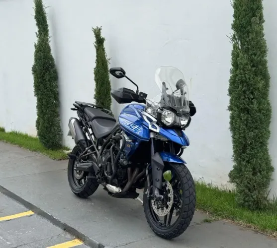TIGER 800 XRX 2019