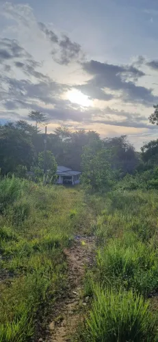 Terreno em Ferreira Gomes 133 hectares