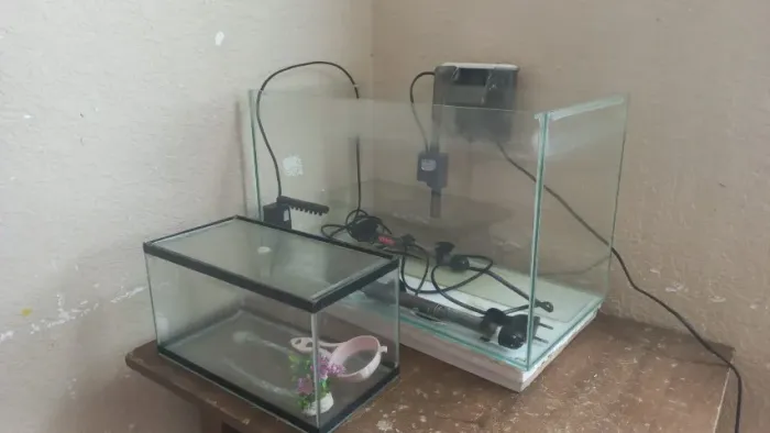 AQUARIO, FILTRO E AQUECEDORES