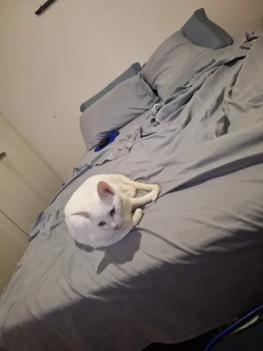 Cama de casal