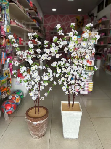 Planta cerejeira decorativa