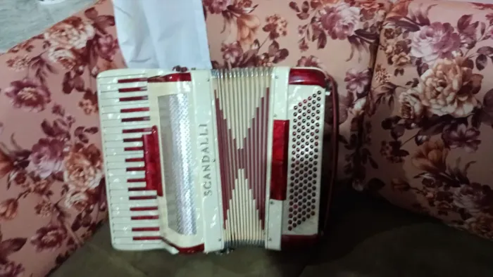 Cordeon 120 baixo reduzida