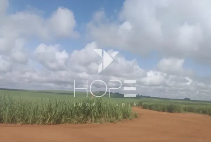 Fazenda arrendada à venda com 304 alqueires - 224 alqueires em cana - contrato até 2032 -