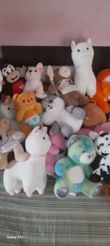 Pelucias