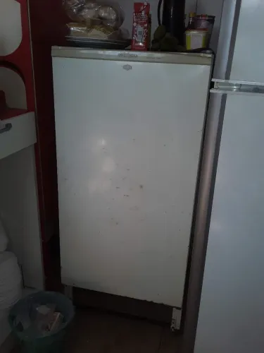 Freezer antigo 110v