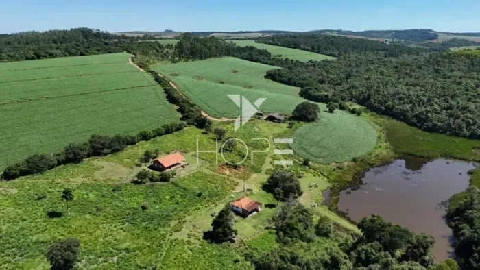 Fazenda à venda com 75 alqueires (181.5 hectares) - agricultura e eucalipto - São Miguel A