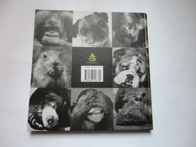 Livro Um Dia "Daqueles" de Bradley Trevor Greive semi novo