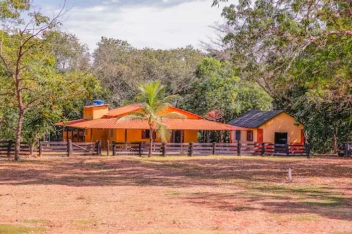 Fazenda em Rio Sono. 60 mil o alqueire.