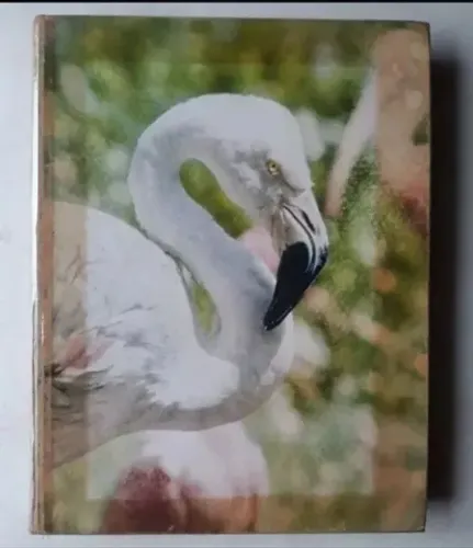 Livro Aves Editora Mec. Livro Ilustrado Aves/ Passaros