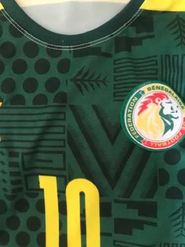 Camisa futebol seleção Senegal 