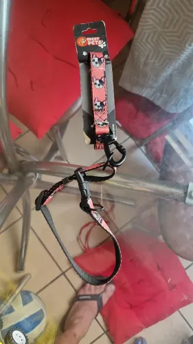 Artigo para caes e gatos