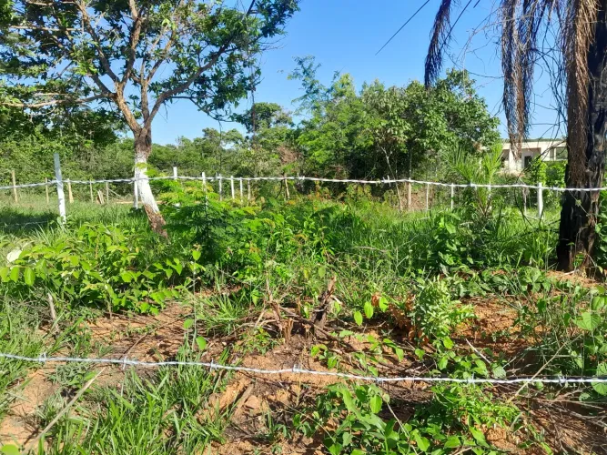 Lotes com escritura e registro