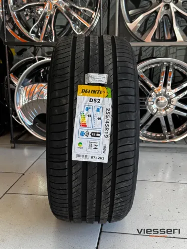 Pneu 255/45R19 DELINTE DS2