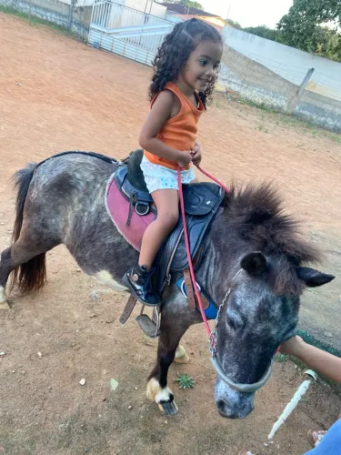 Mini pônei