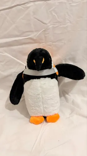Pinguim com mochilinha