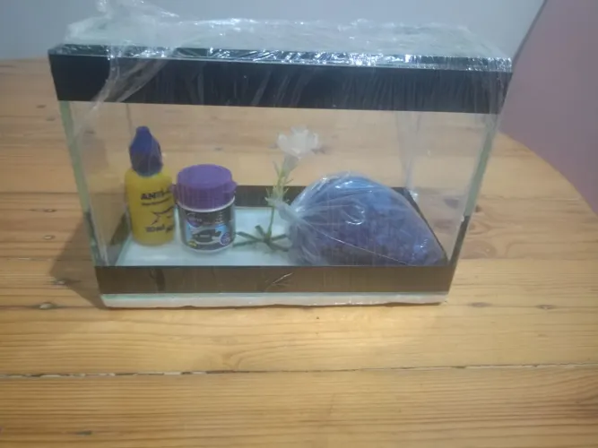 Aquário para Betta