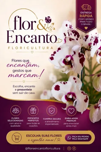 Flor& Encanto Floricultura?