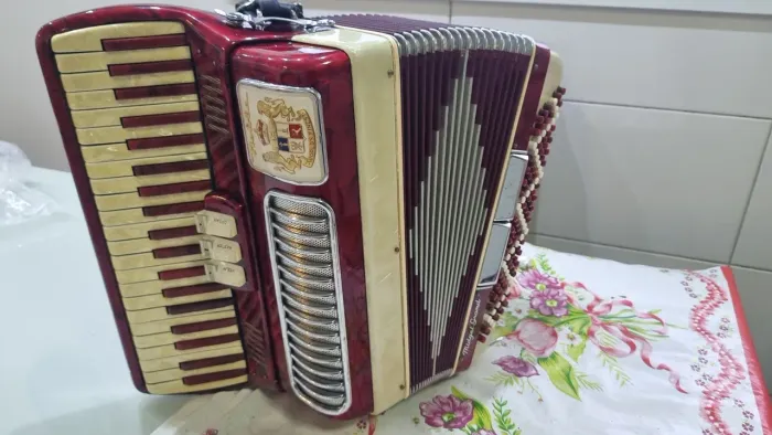 Acordeon noble tamanho reduzida 120 baixos 