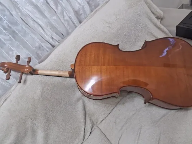 Violoncelo