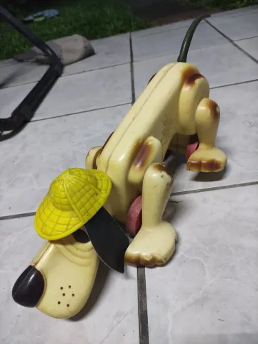 Cachorro da Estrela