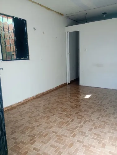Rua Juca 706