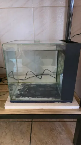 Aquário 31 litros com sump
