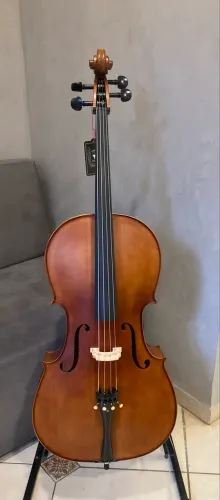 Cello Eagle CE300 Ajustado por Luthier 