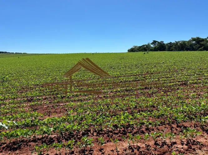 Sitio a venda com 6 alqueires em Tatuí-SP