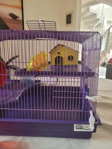 Gaiola para hamster