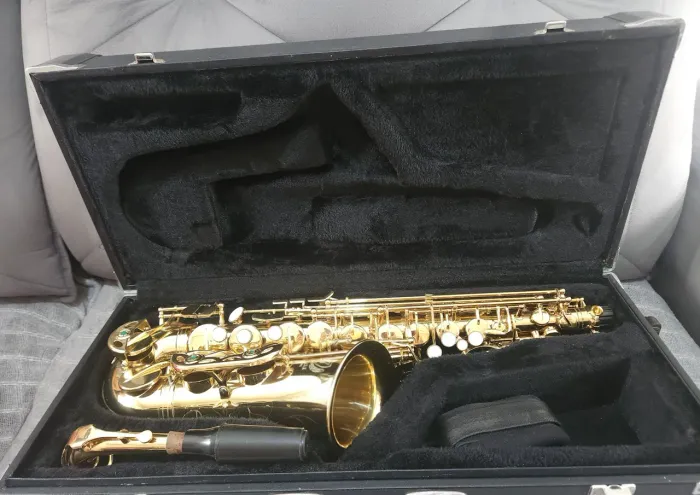 Saxofone Alto Eagle SA501 Completo - Ótimo Estado