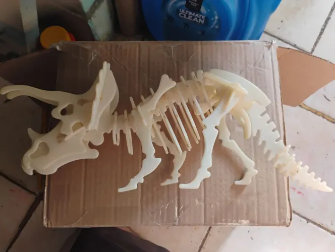 Esqueleto fosforescente dinossauro triceratops da coleção dinossauros editora Globo 1994