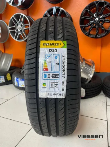 Pneu 215/60R17 DELINTE DS2
