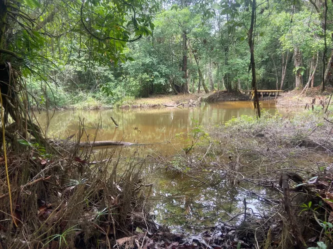 VENDO LOTE DE TERRA NO RIO PRETO DA EVA