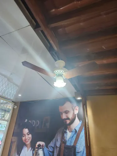 Ventilador de Teto