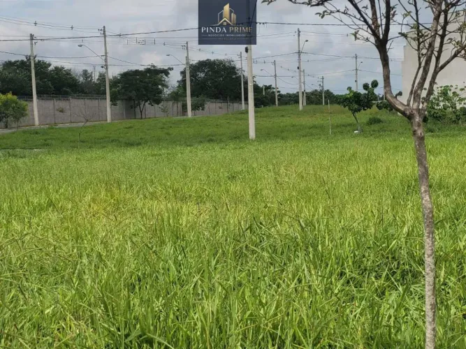 Terreno à venda, 175 m² por R$ 120.000,00 em Condomínio Bosque da Imperatriz