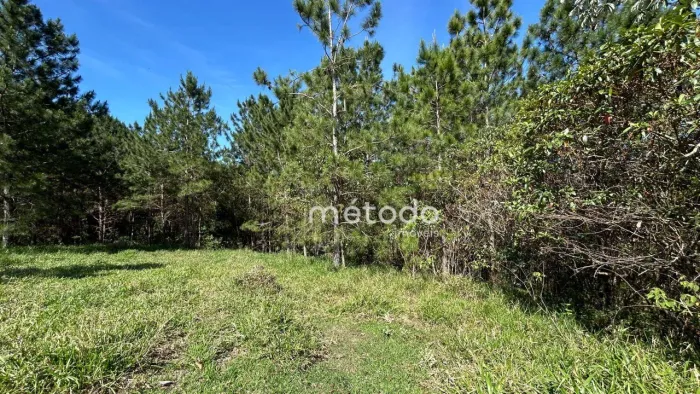 Terreno à venda, 6346 m² por R$ 480.000,00 - Parque Agrinco - Guararema/SP