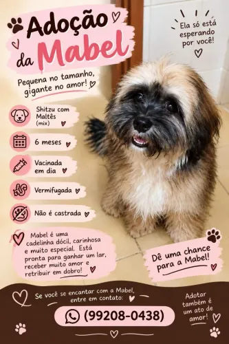 ADOÇÃO FÊMEA
